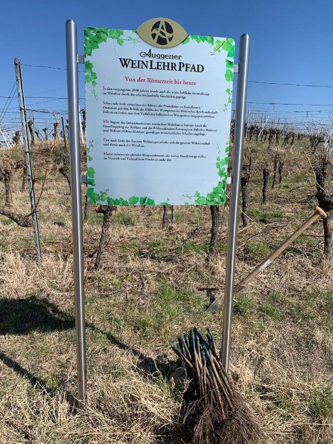 Apartamento Rüdlins-Winzerhof Auggen Exterior foto